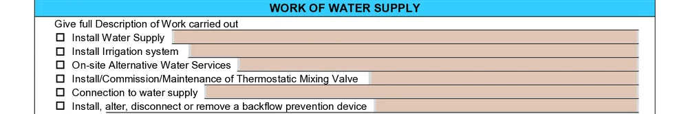 Work of water supply block on the NSW Combined Notice, with a tick box and a single description line for each type of work