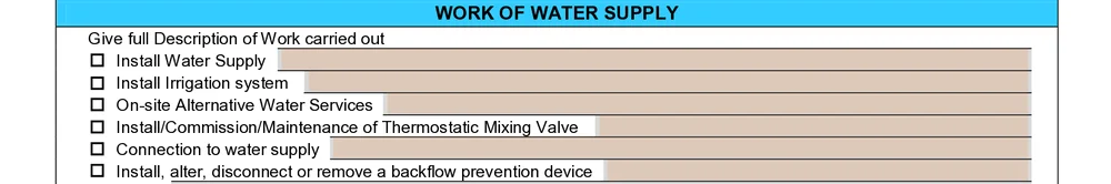 Work of water supply block on the NSW Combined Notice, with a tick box and a single description line for each type of work